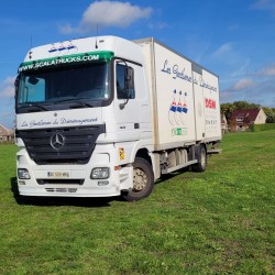 Mercedes Actros 1836 4x2 Closed Truck